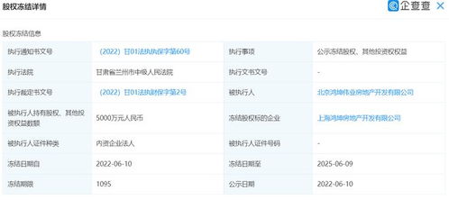 鸿坤伟业地产所持上海鸿坤地产5000万元股权被冻结